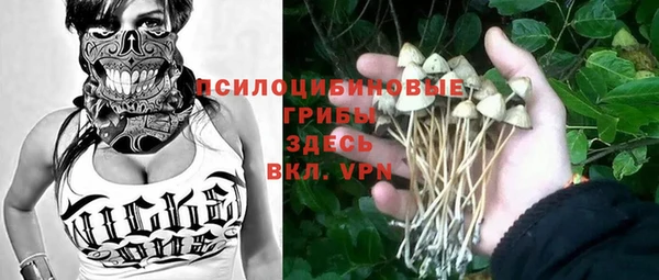 соль курить ск Михайловск