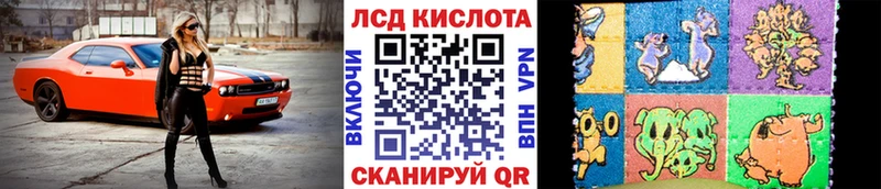 купить наркотики цена  нарко площадка официальный сайт  Марки N-bome 1,5мг  Полтавская 
